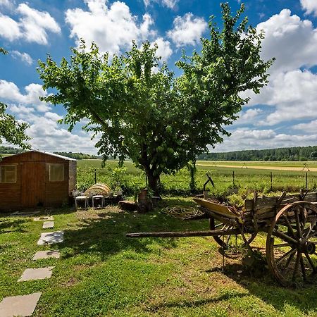 Bed and Breakfast Domaine Du Bois Des Anges Germigny-l'Eveque Exterior foto