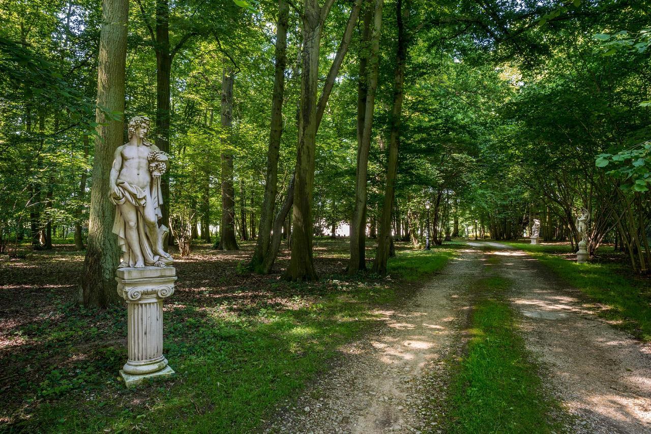 Bed and Breakfast Domaine Du Bois Des Anges Germigny-l'Eveque Exterior foto